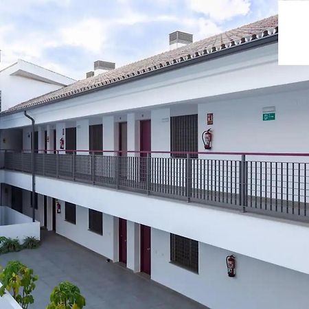 Apartamento La Rosaleda Málaga Dış mekan fotoğraf