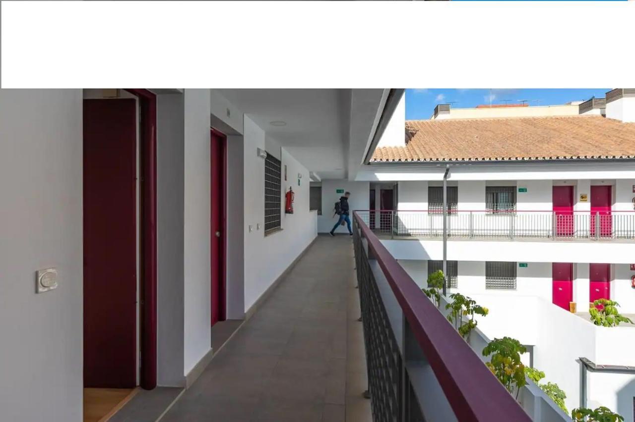 Apartamento La Rosaleda Málaga Dış mekan fotoğraf